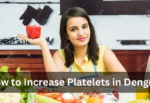 How to Increase Platelets in Dengue?
