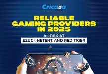 Reliable Gaming Providers in 2025: A Look at Ezugi, NetEnt, and Red Tiger