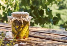 Pickling Traditions of India – Preserving Flavour, Memory, and Culture